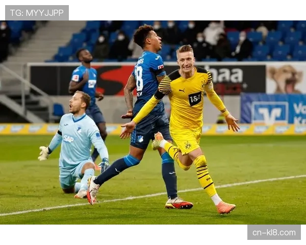 霍芬海姆主场迎战多特 鲍曼把守门将位置防线重组